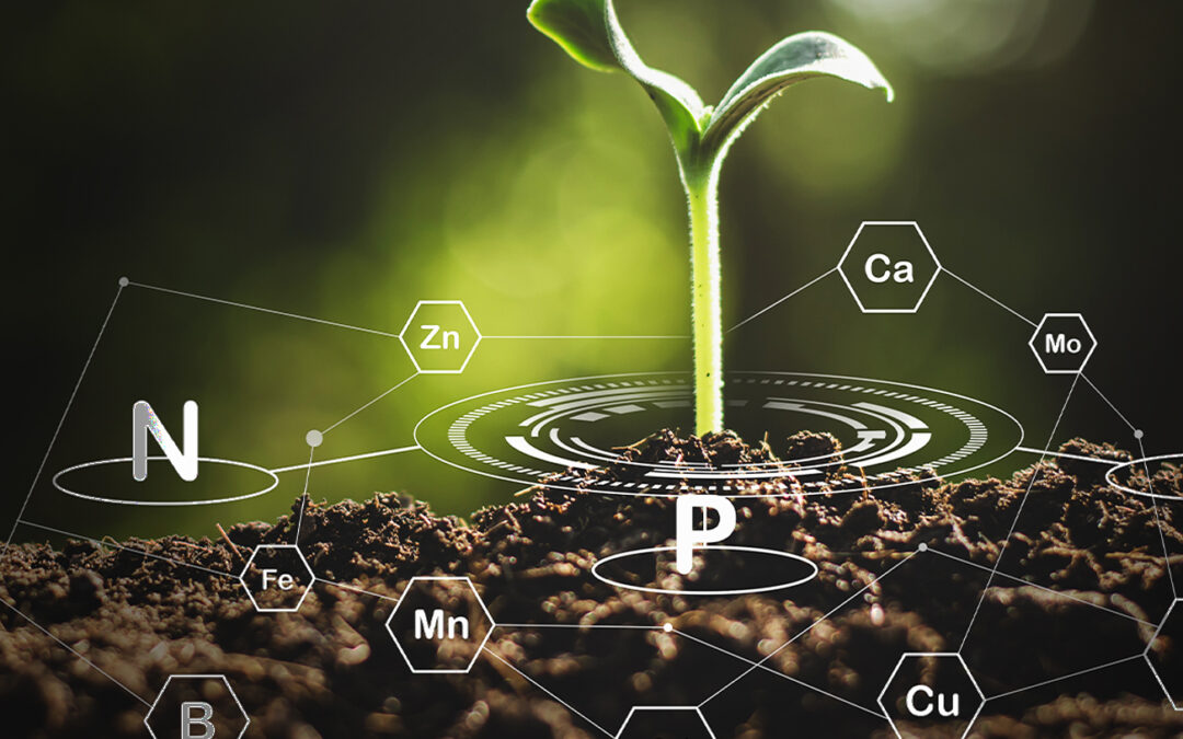Revolutionizing Nutrient Management with Virtual Soil Testing (VST)