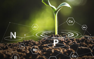 Revolutionizing Nutrient Management with Virtual Soil Testing (VST)
