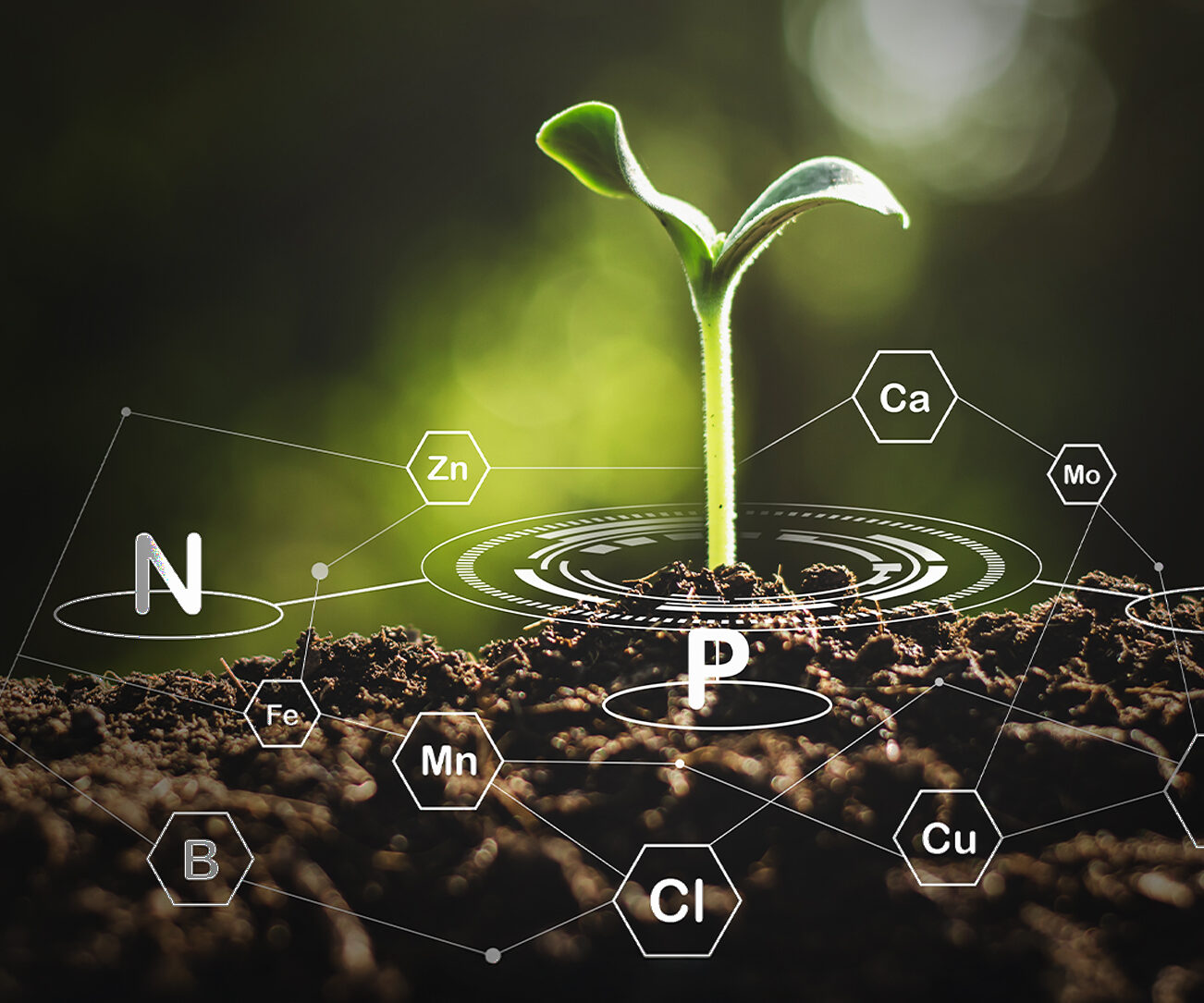 Nutrient Management with VST_Blog Feature Image