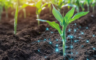 7 Reasons Ag Retailers Should Encourage Farmers to Book Soil Testing Early