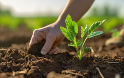 Corvian Labs Opens Premier Agricultural Lab Services to Agribusinesses and Farmers in the U.S. and Canada