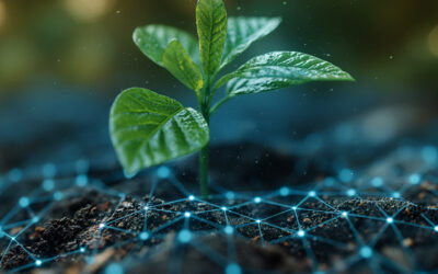 The Ag Retailer’s Guide to Getting More Value from Soil Testing Services