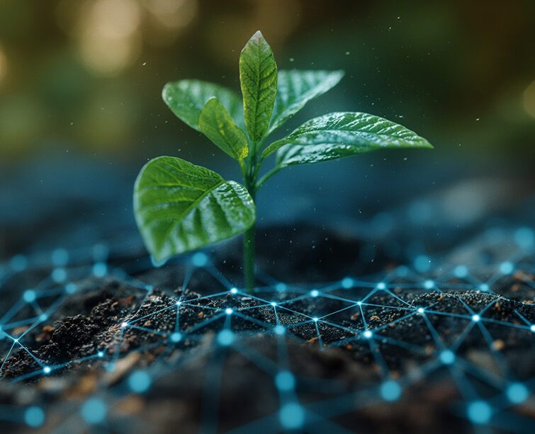 More Value from Soil Testing
